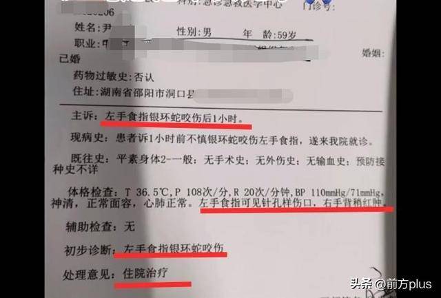 皇冠信用網会员注册网址
_湖南邵阳一男子直播挖蛇被咬皇冠信用網会员注册网址
,去医院后却自行离开至今下落不明