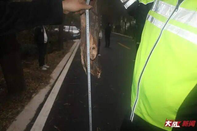 皇冠信用網网址
_陕西兴平56岁女教师骑电动车“撞树枝”身亡皇冠信用網网址
，交警判定担主责，家属提出诸多质疑，多方回应