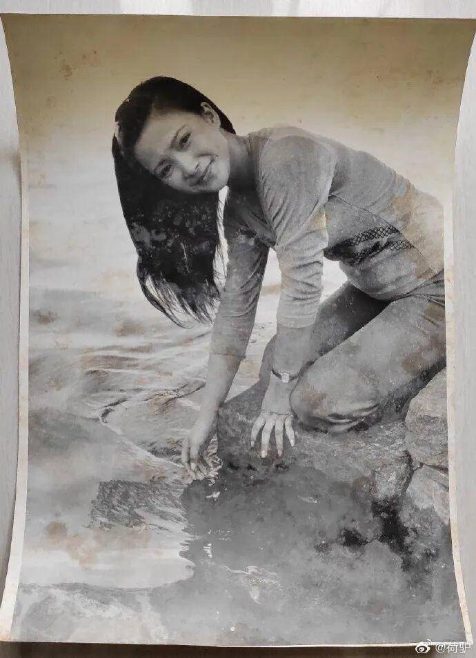 皇冠信用網出租_何晴去世：一代美人离去皇冠信用網出租，古今多少事，都付笑谈中