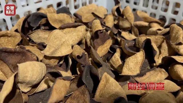 皇冠信用盘代理_30天速成陈皮皇冠信用盘代理，成本仅70元，利润超成本10倍以上！央视起底陈皮跨省造假产业链