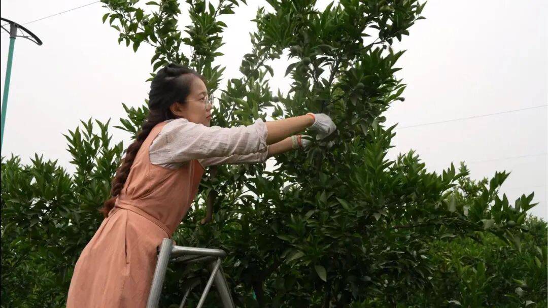 皇冠会员如何申请_考研失败、工作失业皇冠会员如何申请,95后情侣回成都换赛道火了,全网追着买!她说:不是爽文逆袭