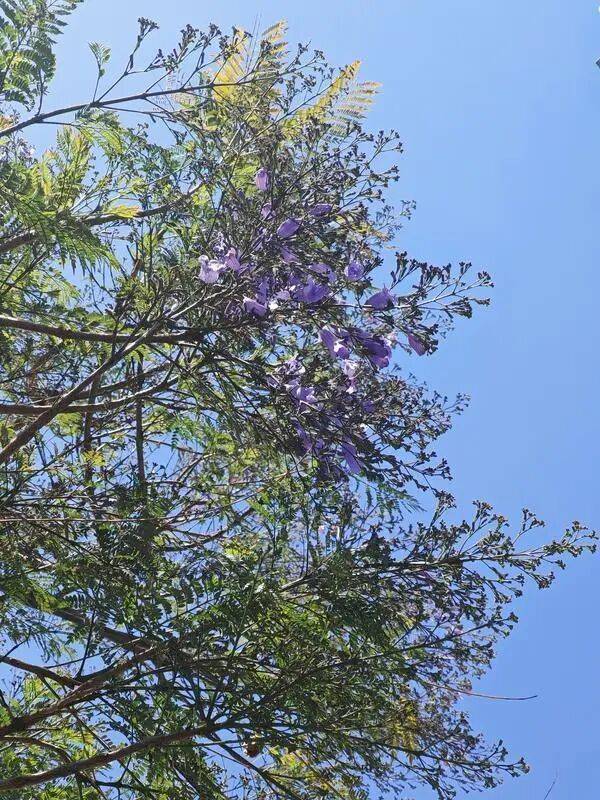 皇冠信用网在线开户_昆明一公园长期大门紧锁！有市民称已关闭6年皇冠信用网在线开户，管理方回应丨早读新闻4.8