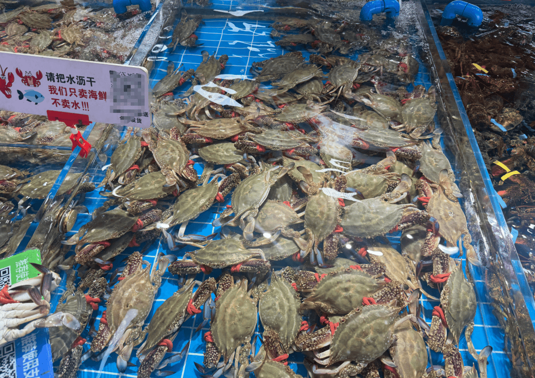 皇冠信用网最新地址_价格猛降!山东大批量上市皇冠信用网最新地址,济南商贩:“到下午基本就卖光了”