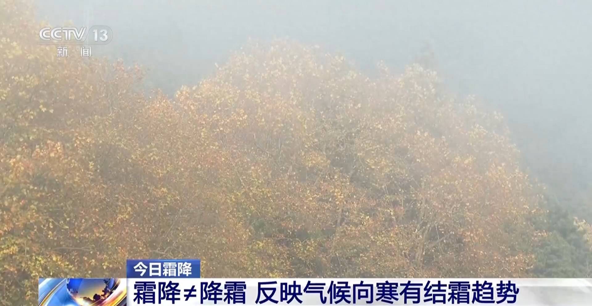 皇冠平台出租_霜降天一定会降霜吗皇冠平台出租？霜降≠降霜