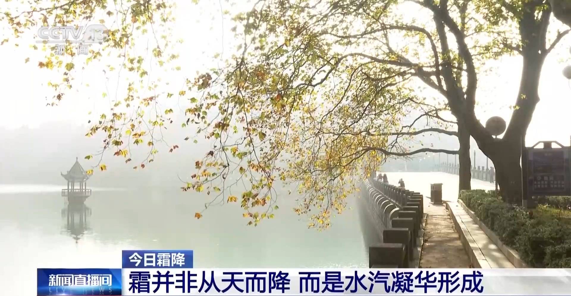 皇冠平台出租_霜降天一定会降霜吗皇冠平台出租？霜降≠降霜