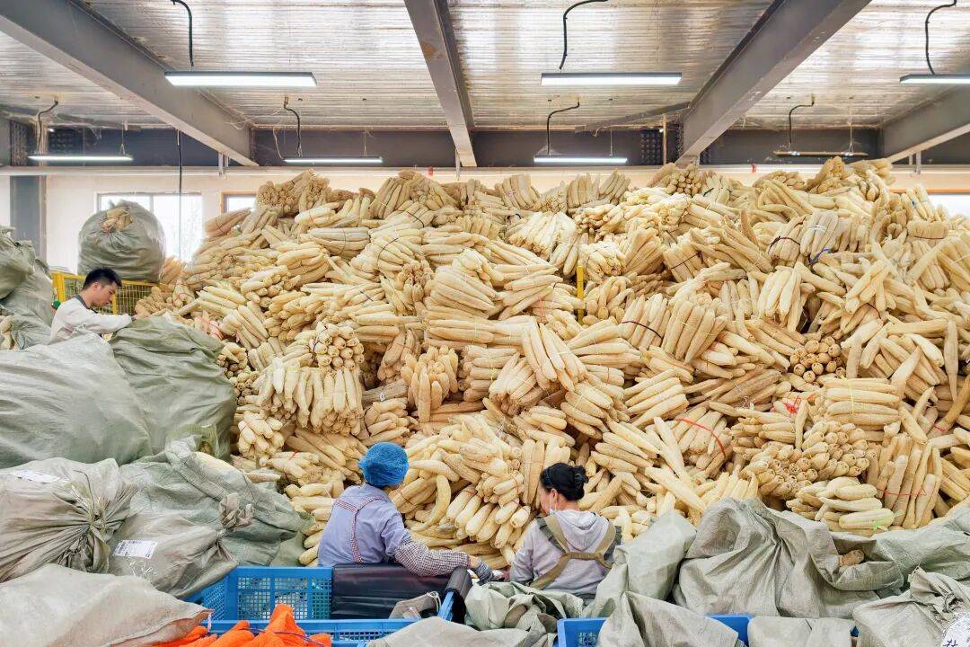 世界杯官网入口
_客户一次要60万根世界杯官网入口
,她以为听错了……河南姑娘把“刷锅神器”做成行业“头部”,100多款产品卖进50多个国家